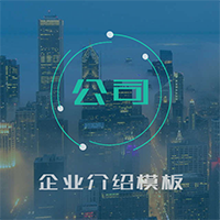 星網(wǎng)貨運(yùn)企業(yè)名片