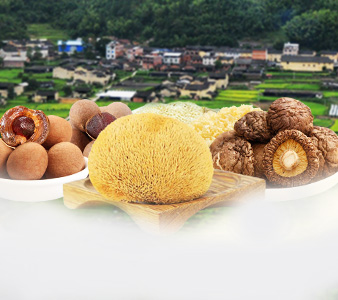 第一届中国（古田）食用菌大会暨善融商务精准扶贫对接会成功举办