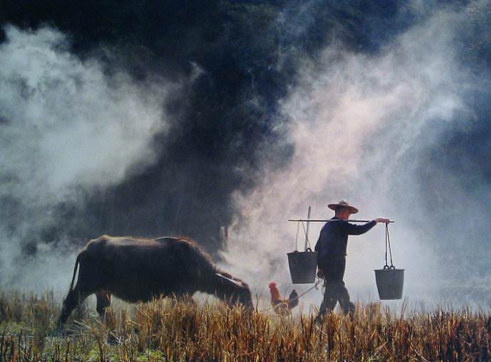 【5.1劳动节】翻阅古书，在诗词中寻找劳动者的影子