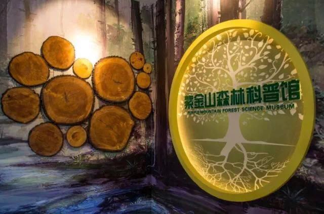 钟山之旅