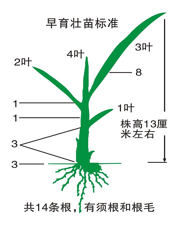 植保專家科研成果落地