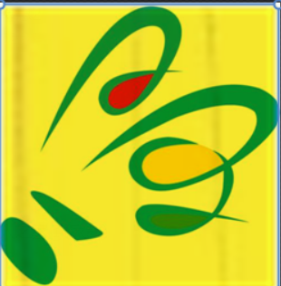嘉大羽毛球培訓(xùn)班
