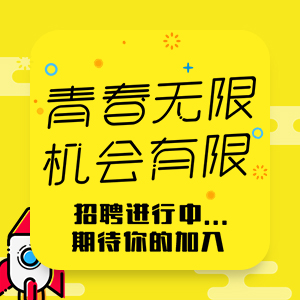 -大信文化招聘-