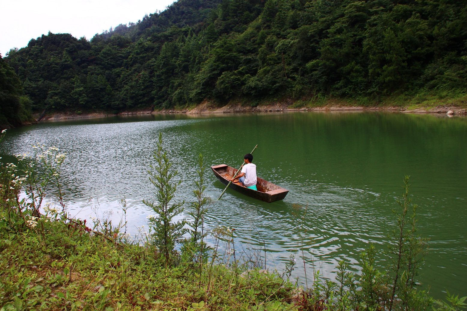秀美山水，生態農莊