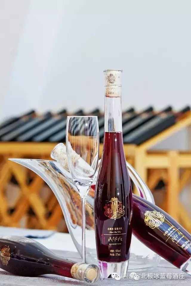 北极冰蓝莓酒品鉴会