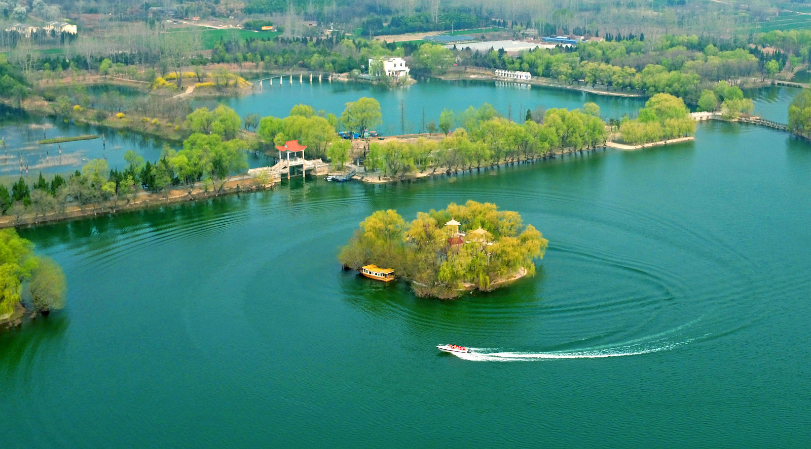 埇桥名片——大五柳
