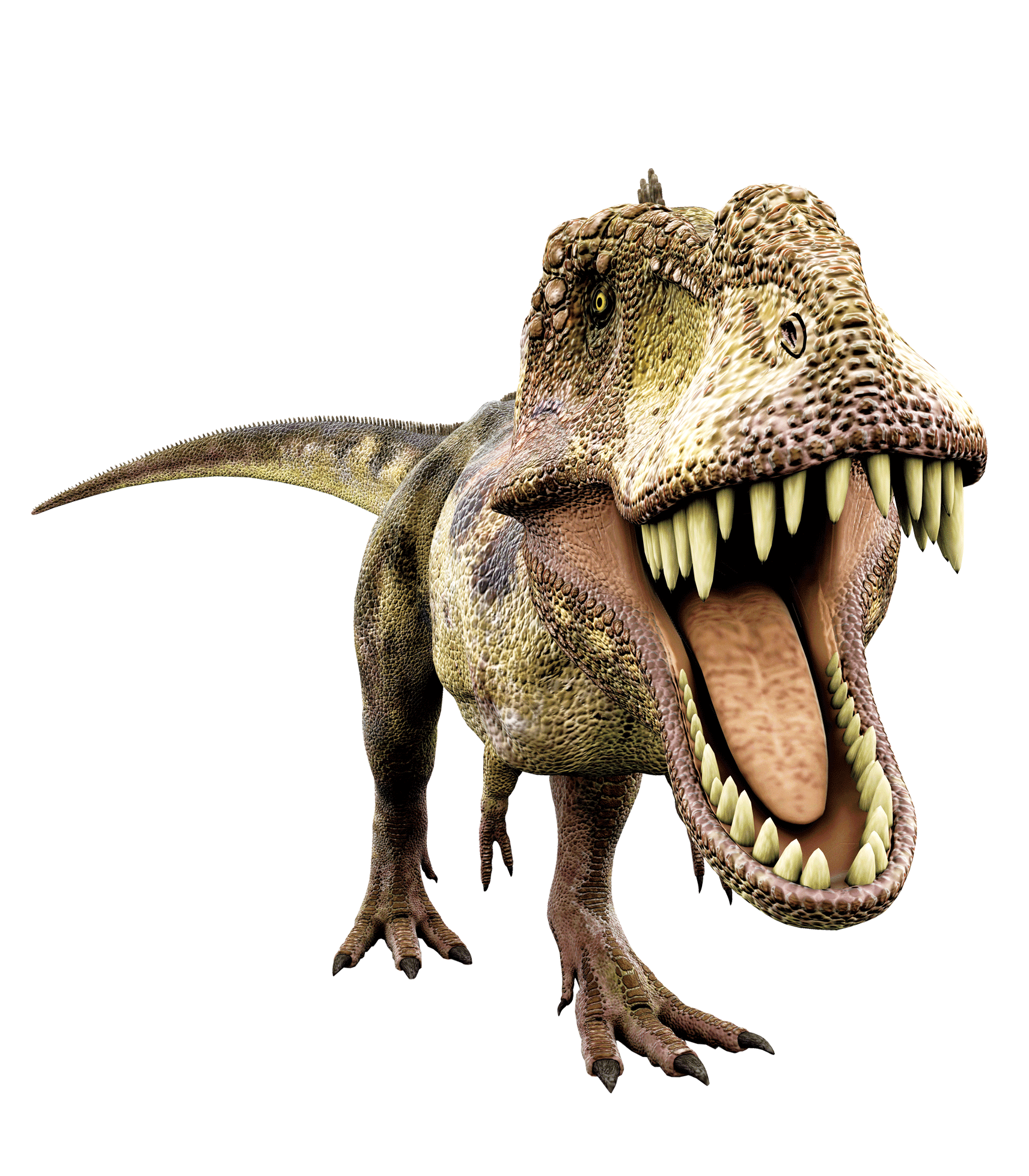 朝阳邮政《中国恐龙》特种邮票朝阳化石谷首发