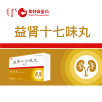 益肾十七味丸