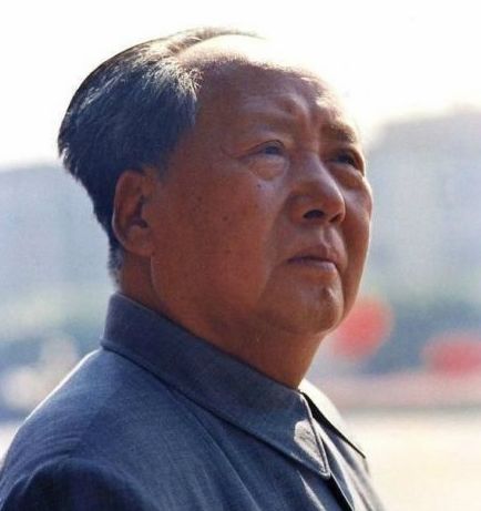 我是第{{count}}位给毛主席献花的人