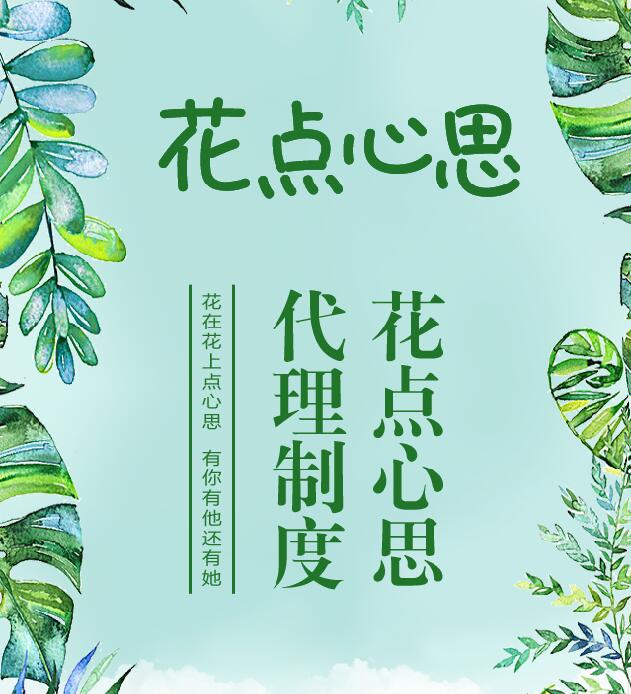 花点心思,代理制度
