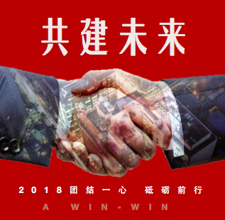 亚凡国际2018年度计划