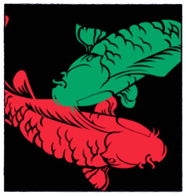 红鲤鱼.绿鲤鱼.与你