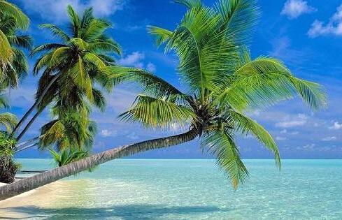 锐仕方达泰国游门票