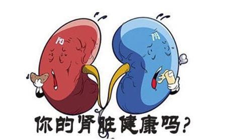 慢性肾脏病