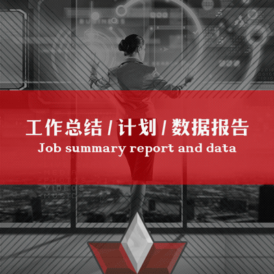 工作总结/计划/数据报告
