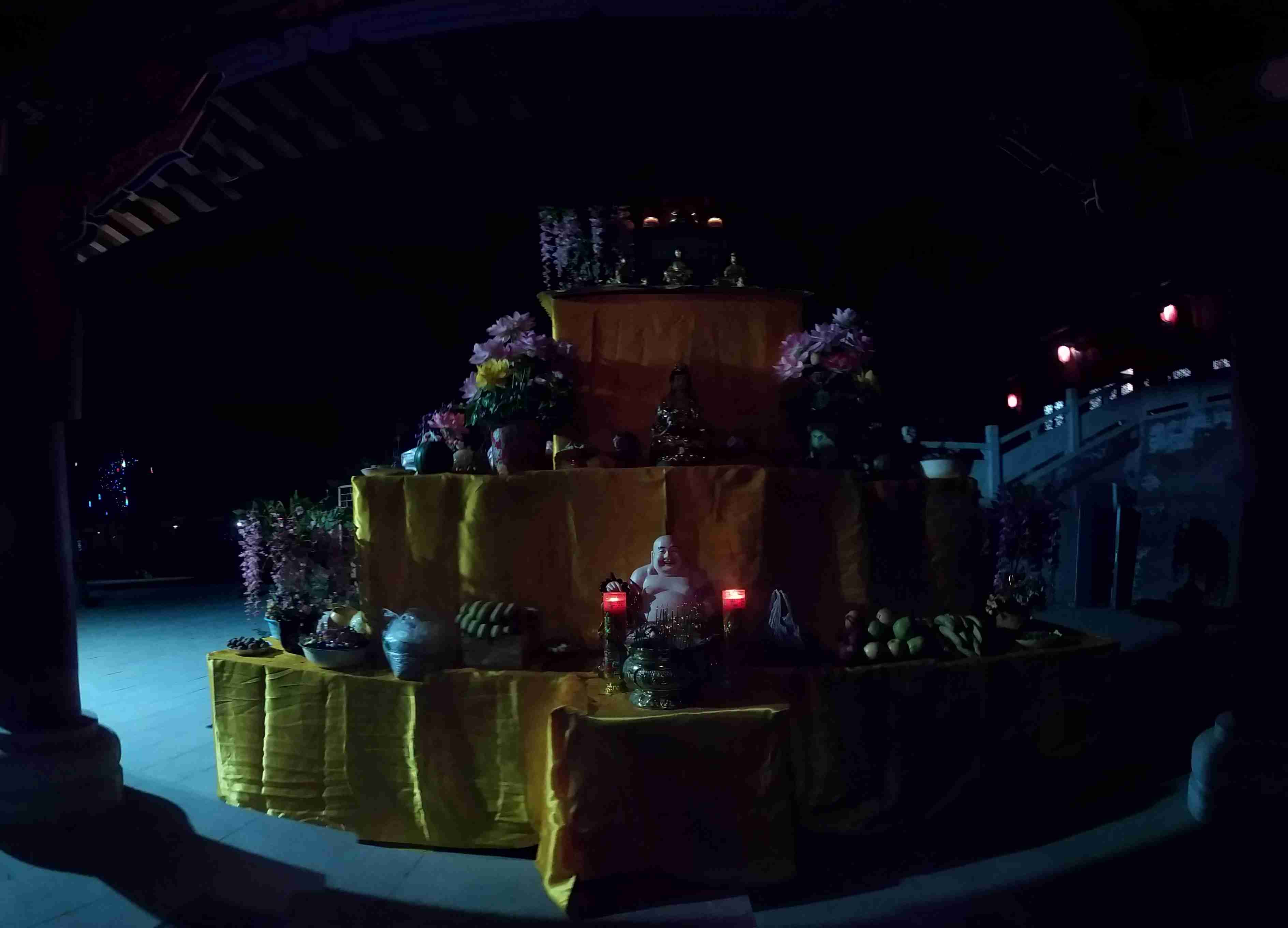 释迦摩尼最灵性的四句话维曼森林东南亚水果释迦果佛光寺地藏殿缘起