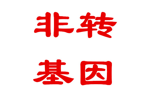 非转基因，审定品种，不操心的好品种----美联178